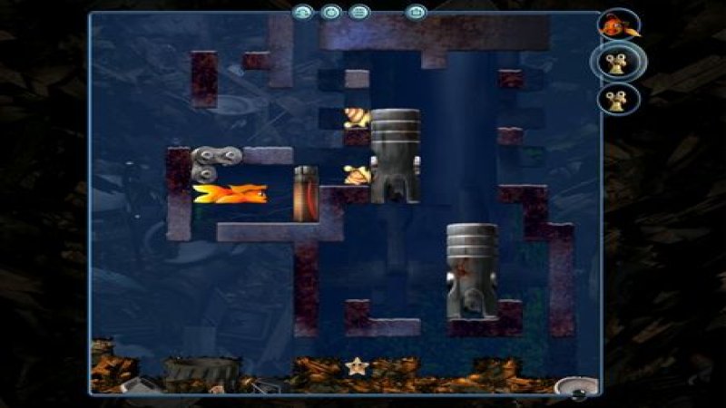 fish-fillets-2-steam-gift