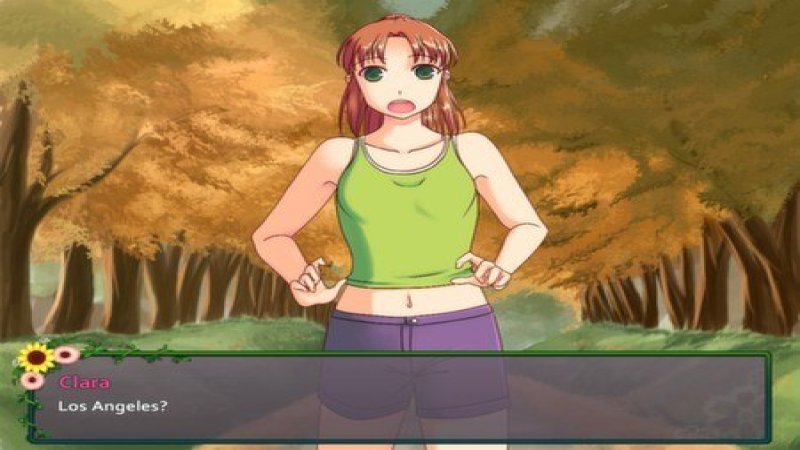 flower-shop-summer-in-fairbrook-steam-cd-key