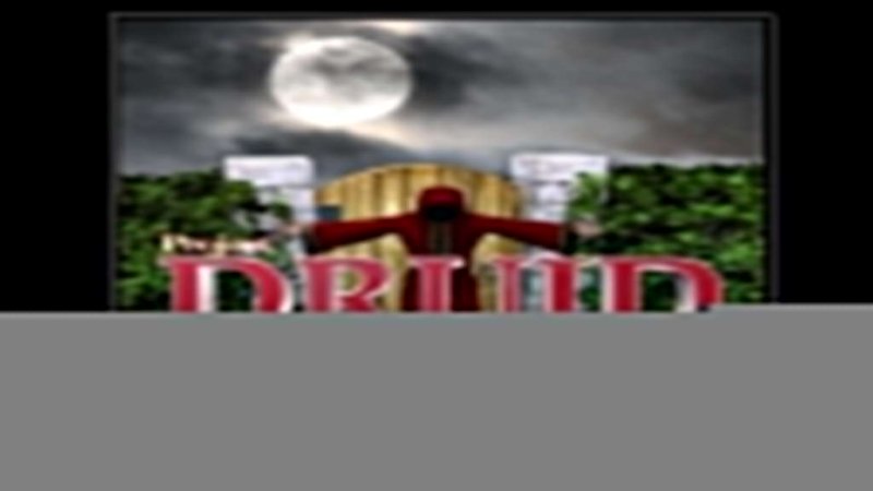 project-druid-2d-labyrinth-explorer-steam-cd-key