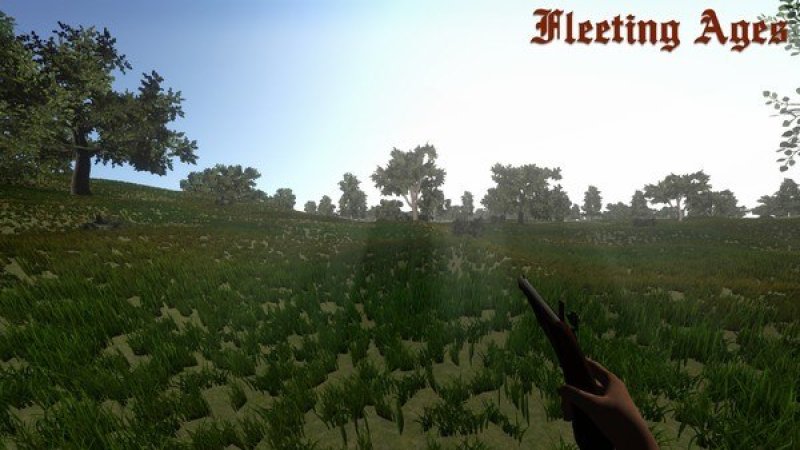 fleeting-ages-steam-cd-key