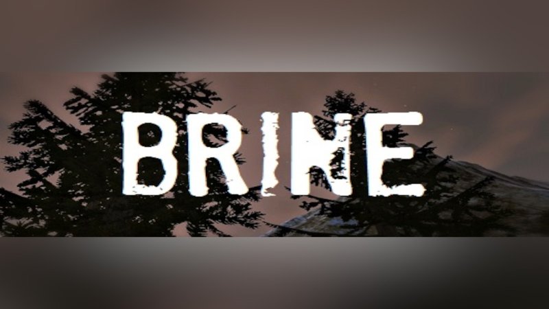 brine-steam-cd-key