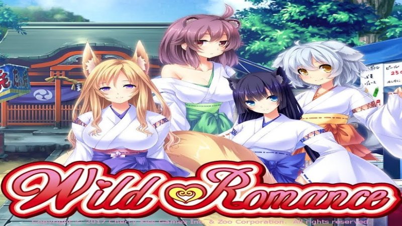 wild-romance-steam-cd-key